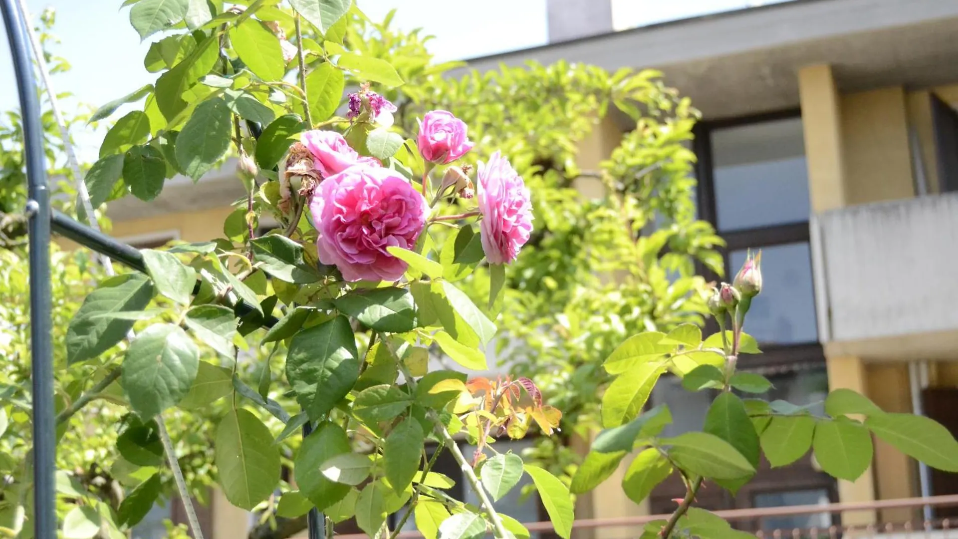 Bed & Breakfast Il Sole e la Luna B&B in Garda